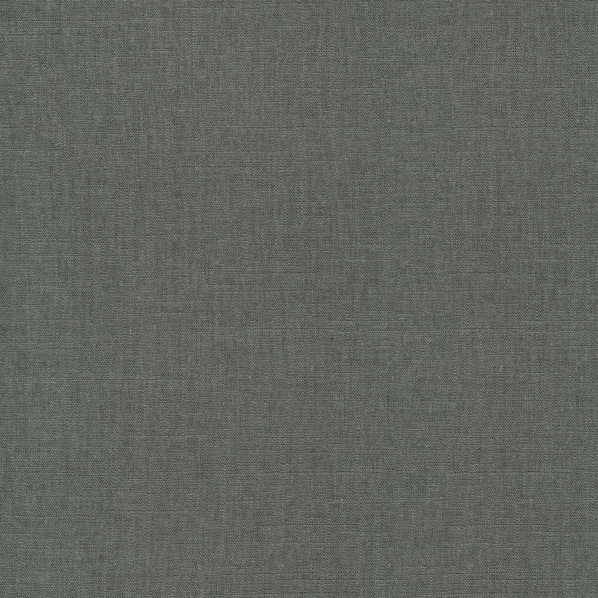 P/K Lifestyles Chester - Charcoal 412063 Fabric Swatch