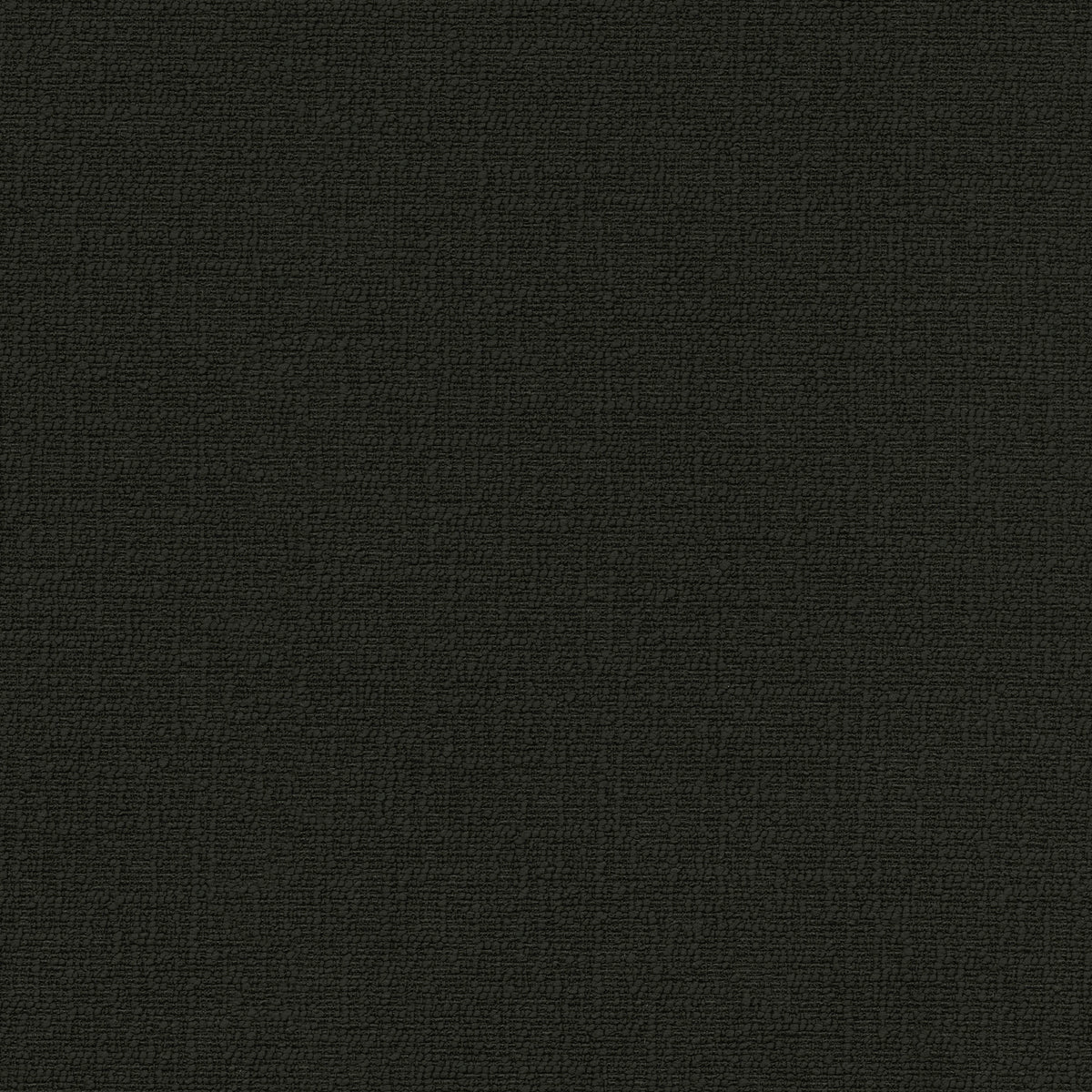 P/K Lifestyles Cirrus - Black 412336 Upholstery Fabric