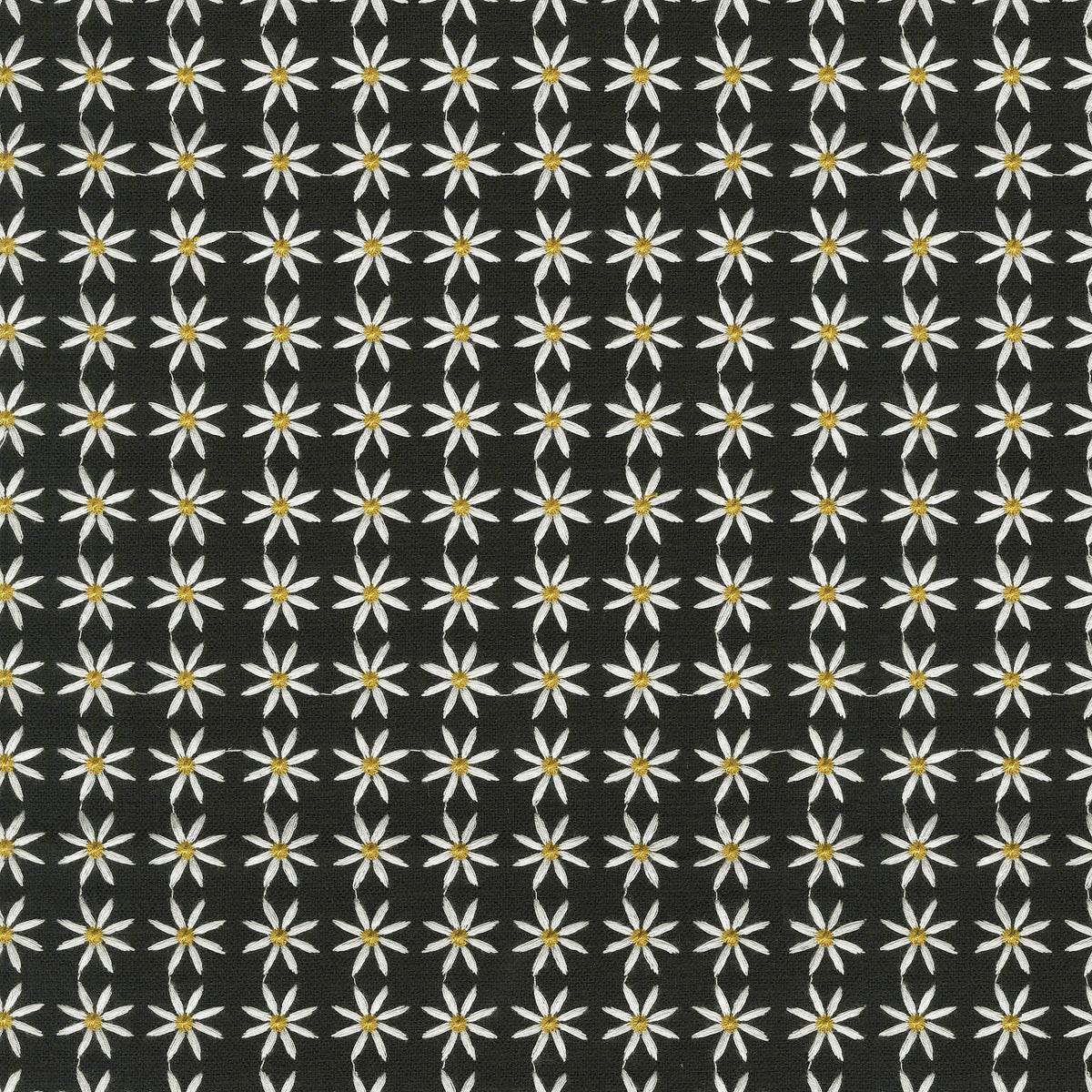 P/K Lifestyles Daisy Embroidery - Black 470540 Upholstery Fabric