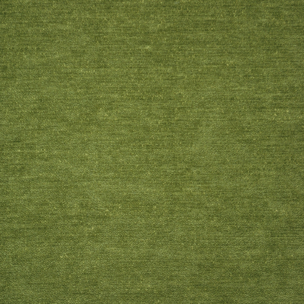 P/K Lifestyles Kismet - Moss 473405 Fabric Swatch