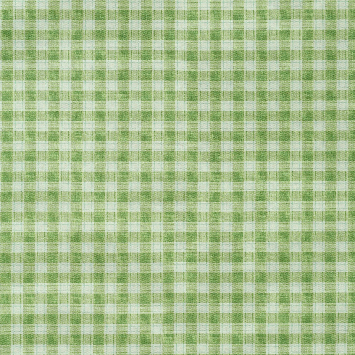 P/K Lifestyles Le Cheque - Herbal 481183 Fabric Swatch
