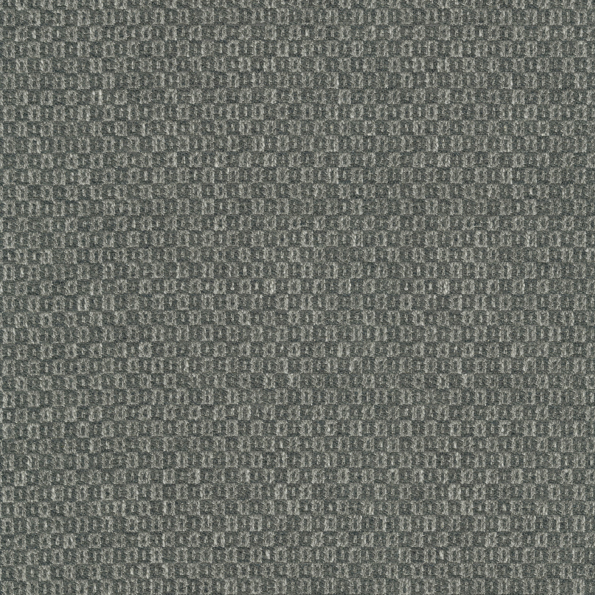 P/K Lifestyles Parque - Charcoal 412359 Fabric Swatch