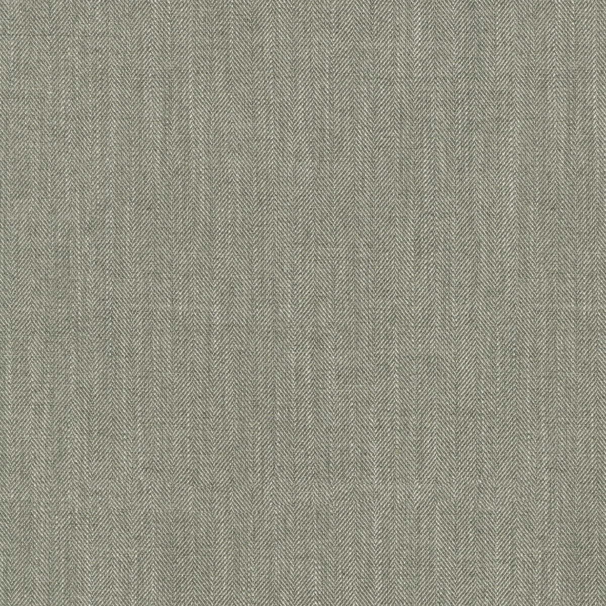 P/K Lifestyles Paxton - Gray 472556 Fabric Swatch