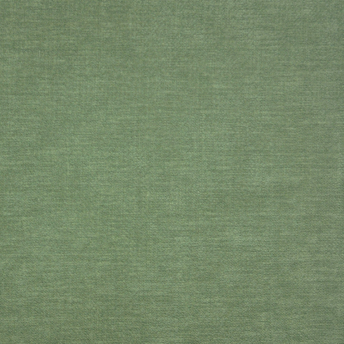 P/K Lifestyles Performance Plus Tucker - Eucalyptus 473052 Fabric Swatch