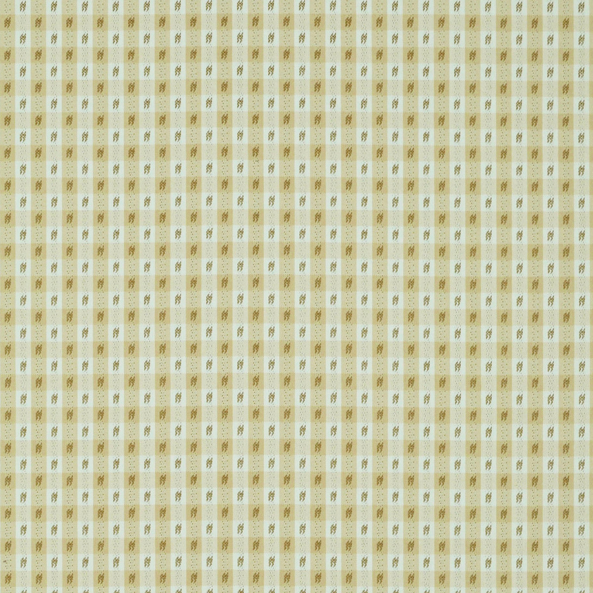 P/K Lifestyles Rosalie Check - Haystack 473270 Fabric Swatch