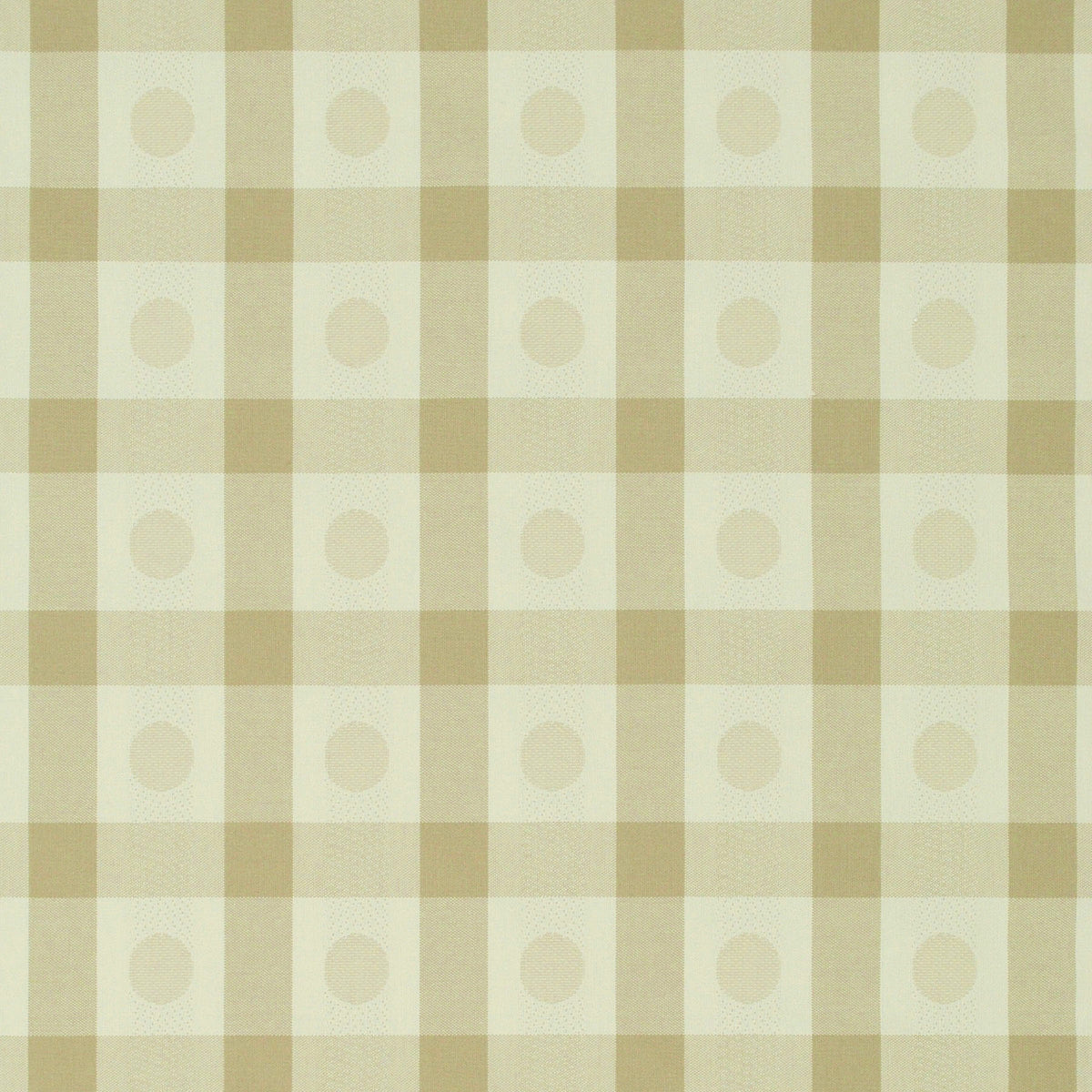 P/K Lifestyles Southport Check - Flax 481035 Fabric Swatch