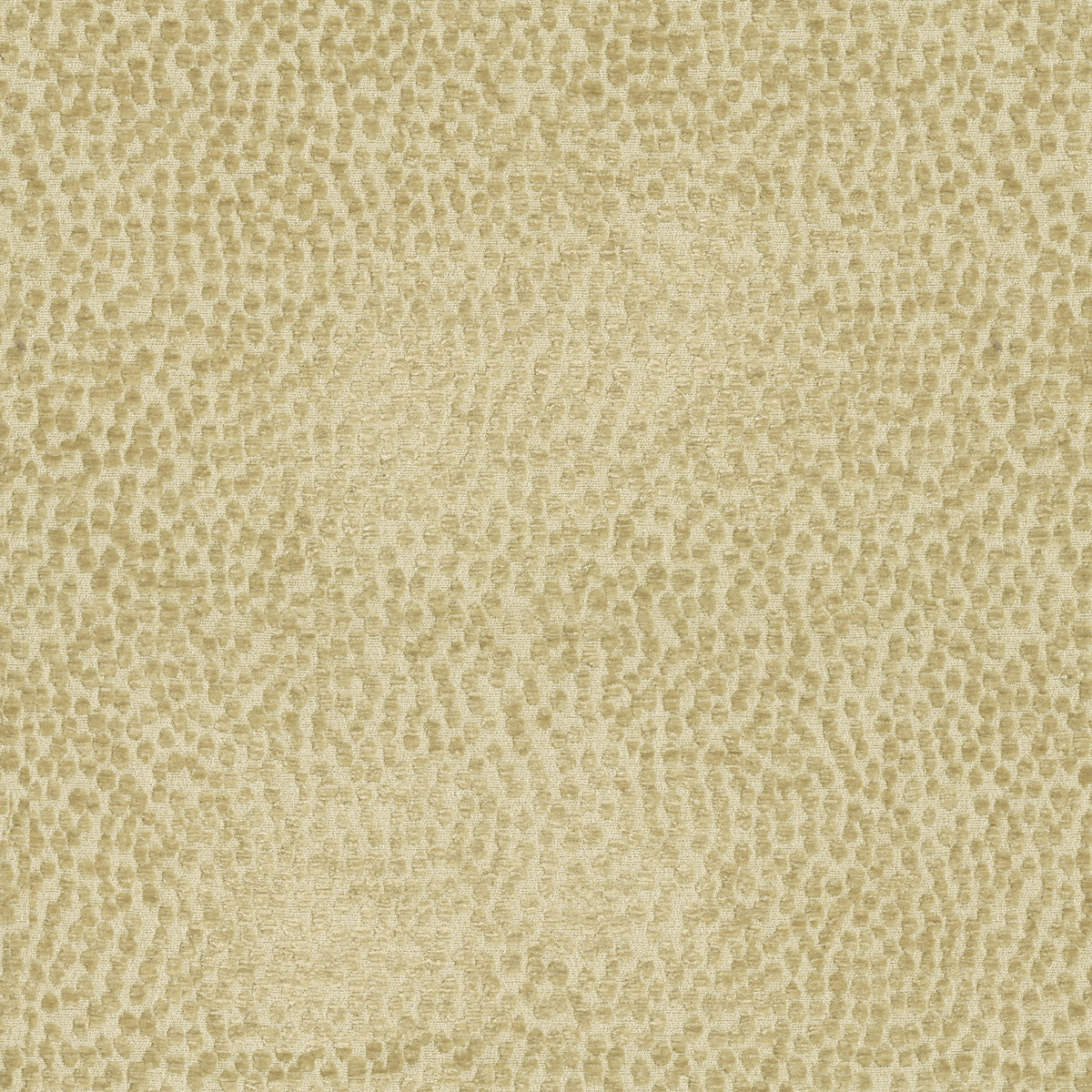 P/K Lifestyles Spotty Dotty - Hay 471247 Fabric Swatch