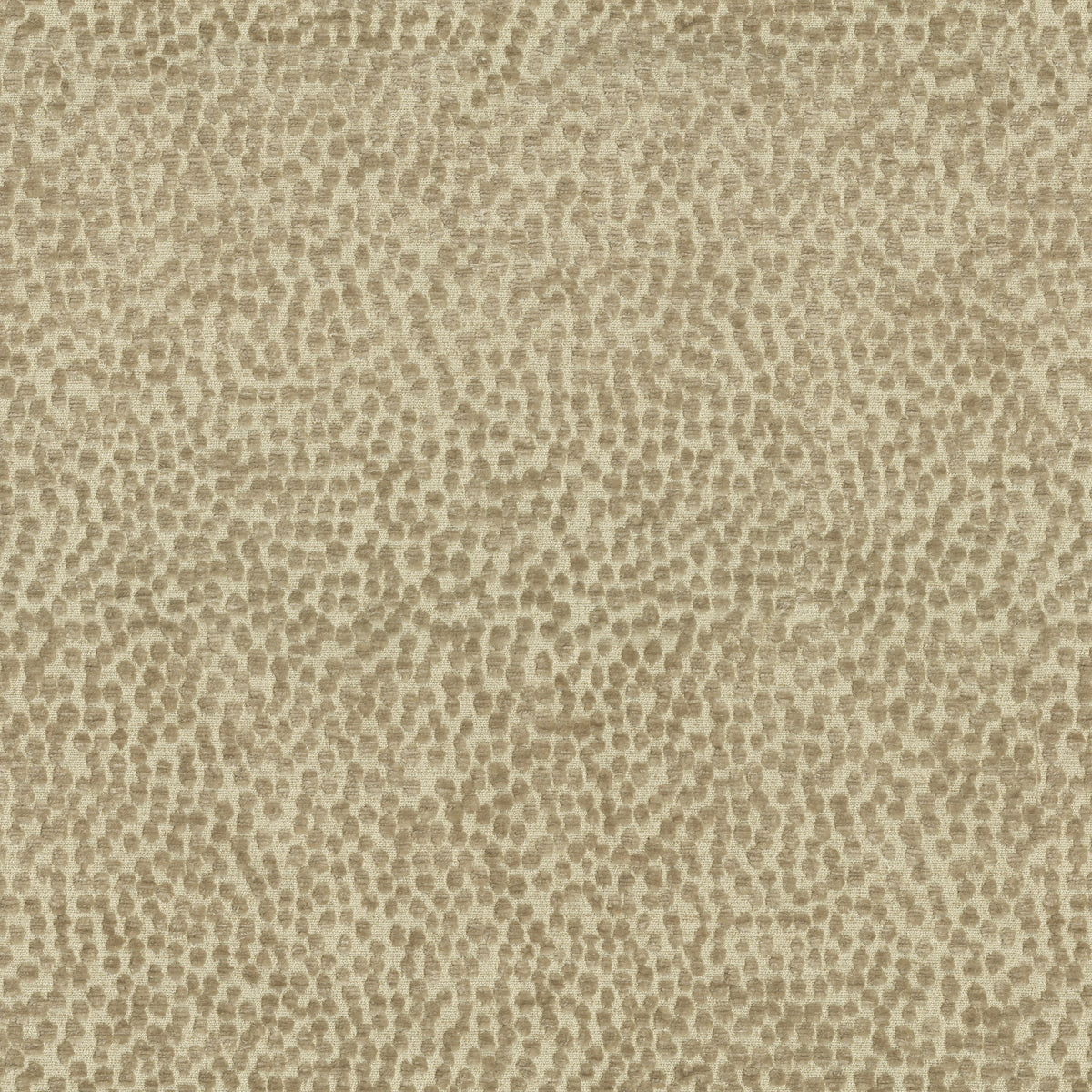 P/K Lifestyles Spotty Dotty - Linen 471246 Fabric Swatch