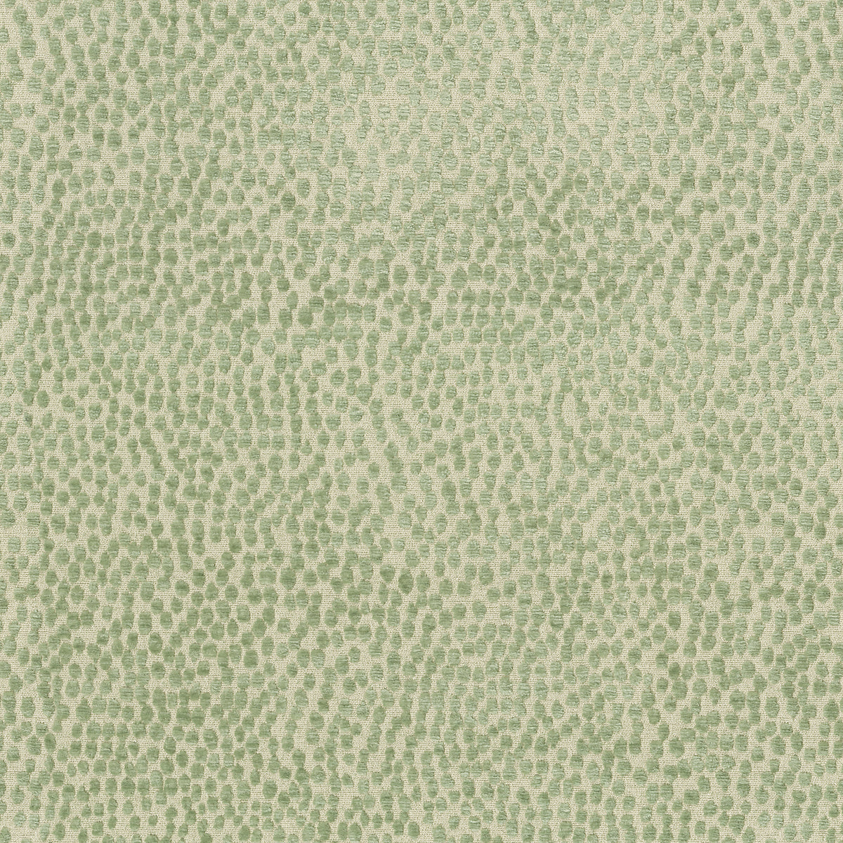 P/K Lifestyles Spotty Dotty - Meadow 471240 Fabric Swatch