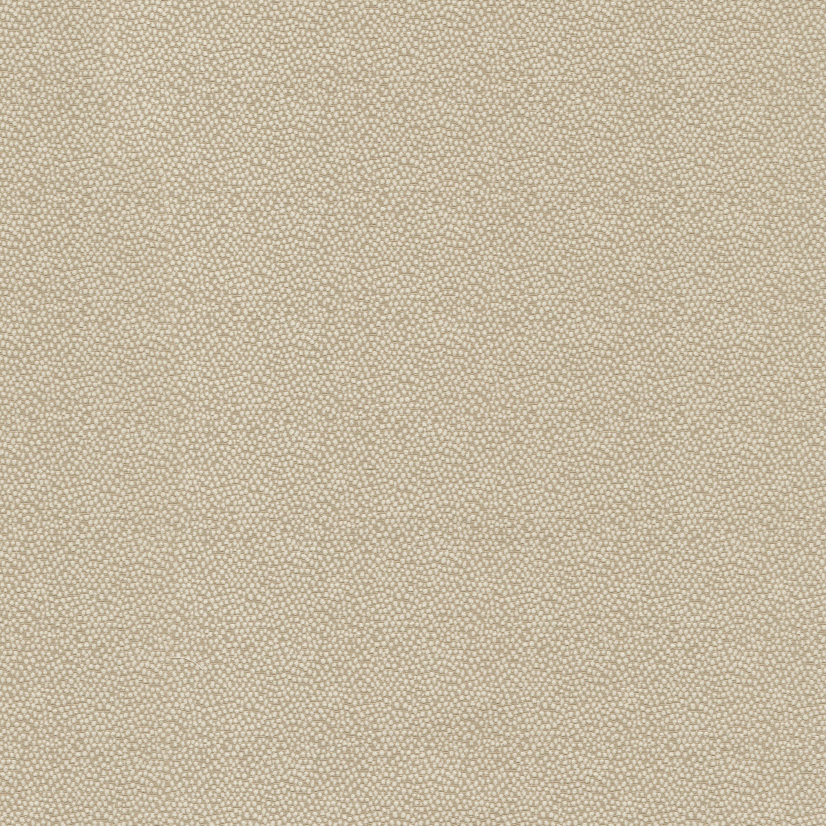 P/K Lifestyles Vela - Cameo 470795 Upholstery Fabric