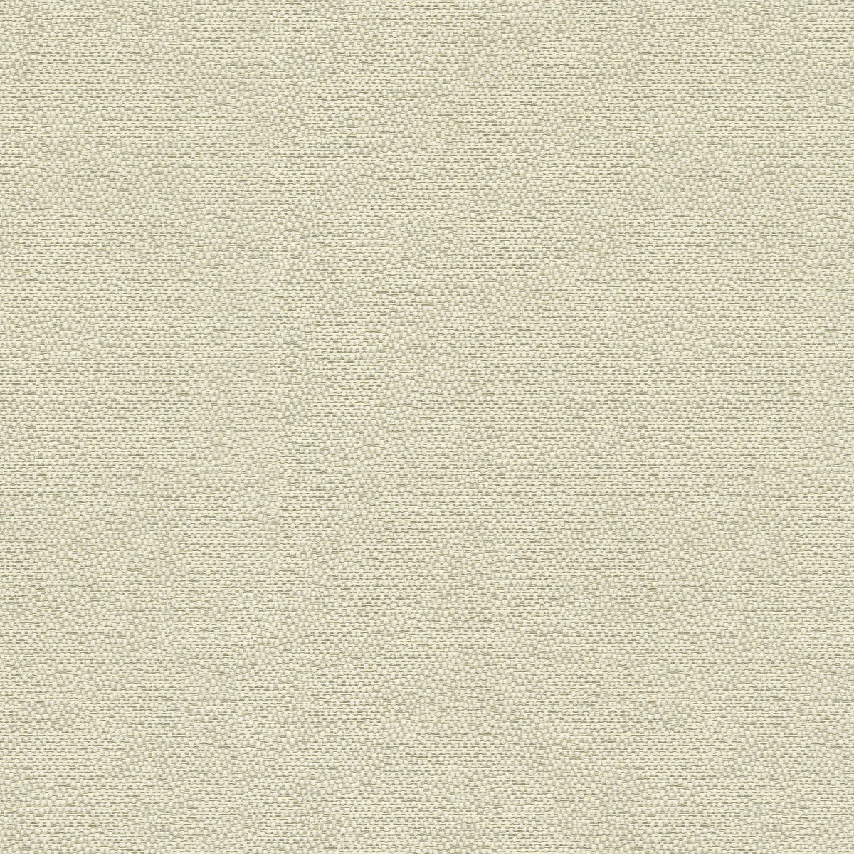 P/K Lifestyles Vela - Sand 470793 Upholstery Fabric