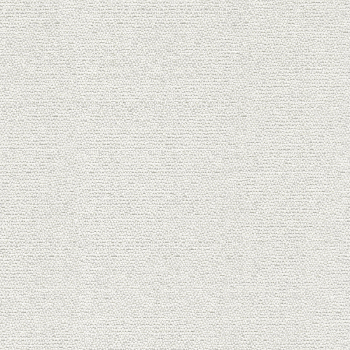 P/K Lifestyles Vela - White 470792 Upholstery Fabric