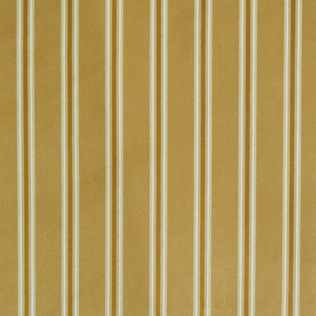 P/K Lifestyles Velveteen Stripe - Gold 480834 Fabric Swatch