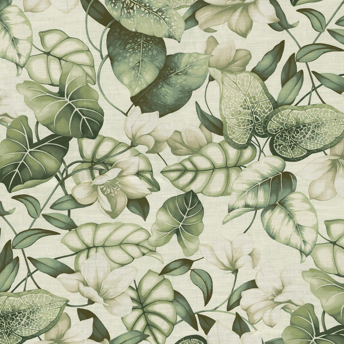 Tommy Bahama Home Windemere Garden - Aloe 880200 Fabric Swatch