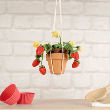 DMC Amigurumi Summer Strawberries Kit