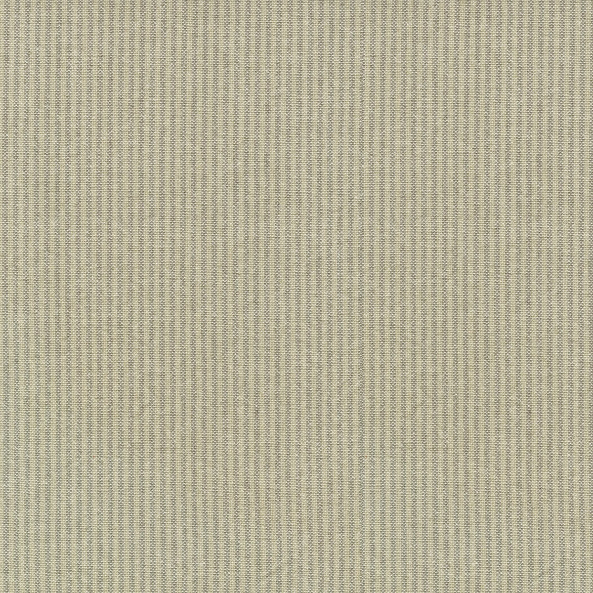 P/K Lifestyles Cullen Ticking - Shale 410717 Upholstery Fabric