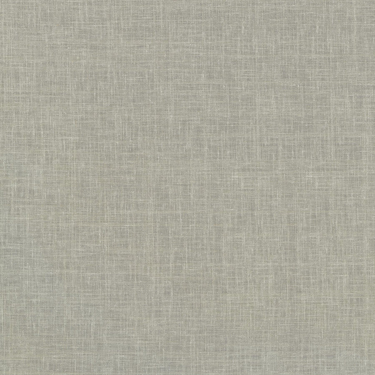 P/K Lifestyles Isabella - Silver 411113 Fabric Swatch
