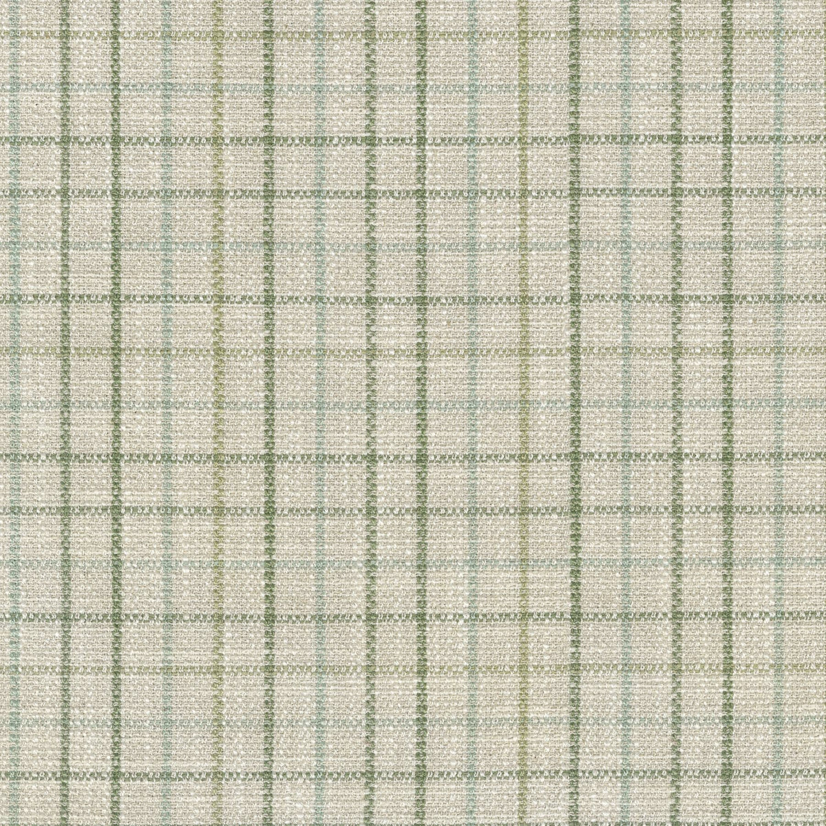 P/K Lifestyles Keep In Check - Spring 411582 Fabric Swatch
