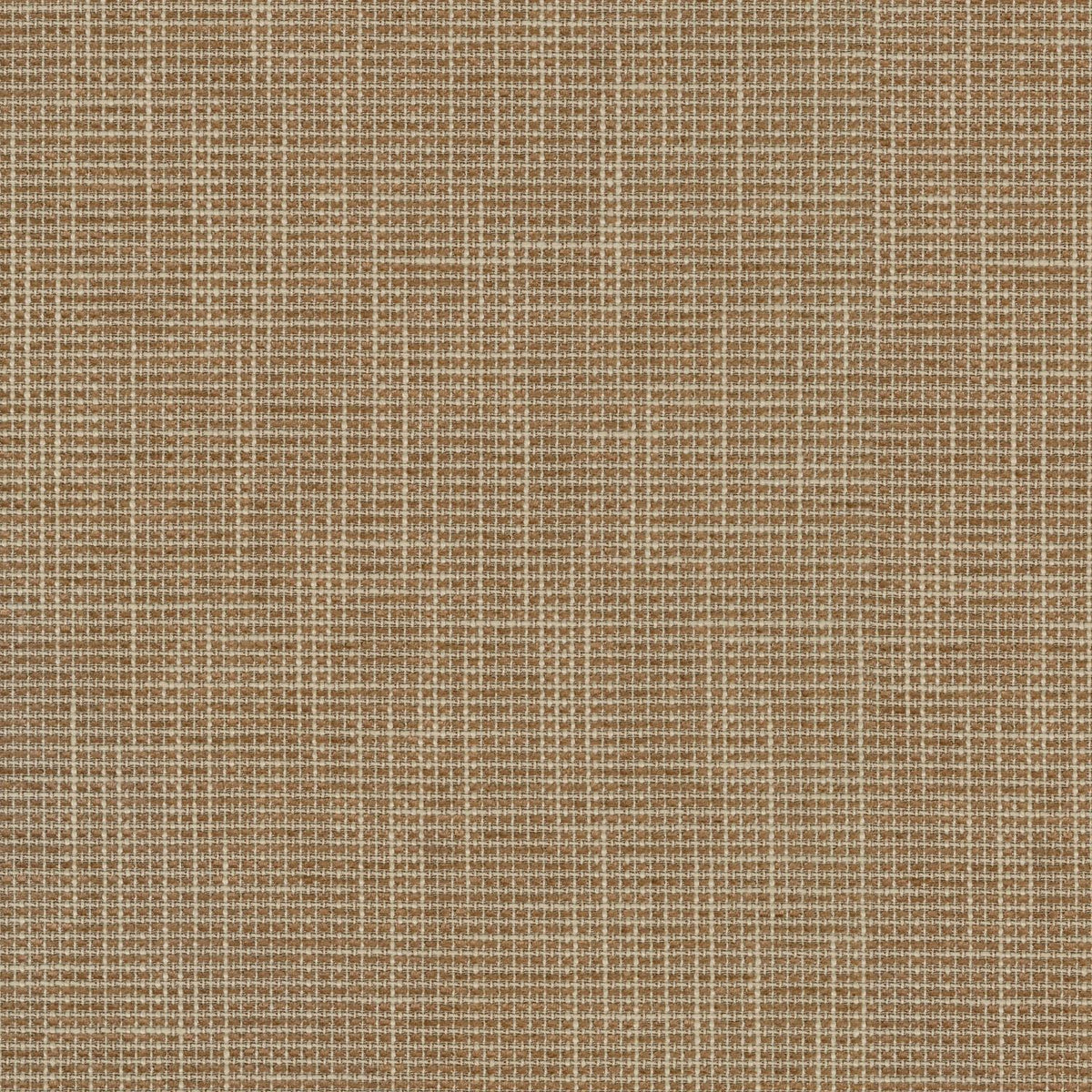 P/K Lifestyles Layla - Gingerbread 410244 Fabric Swatch
