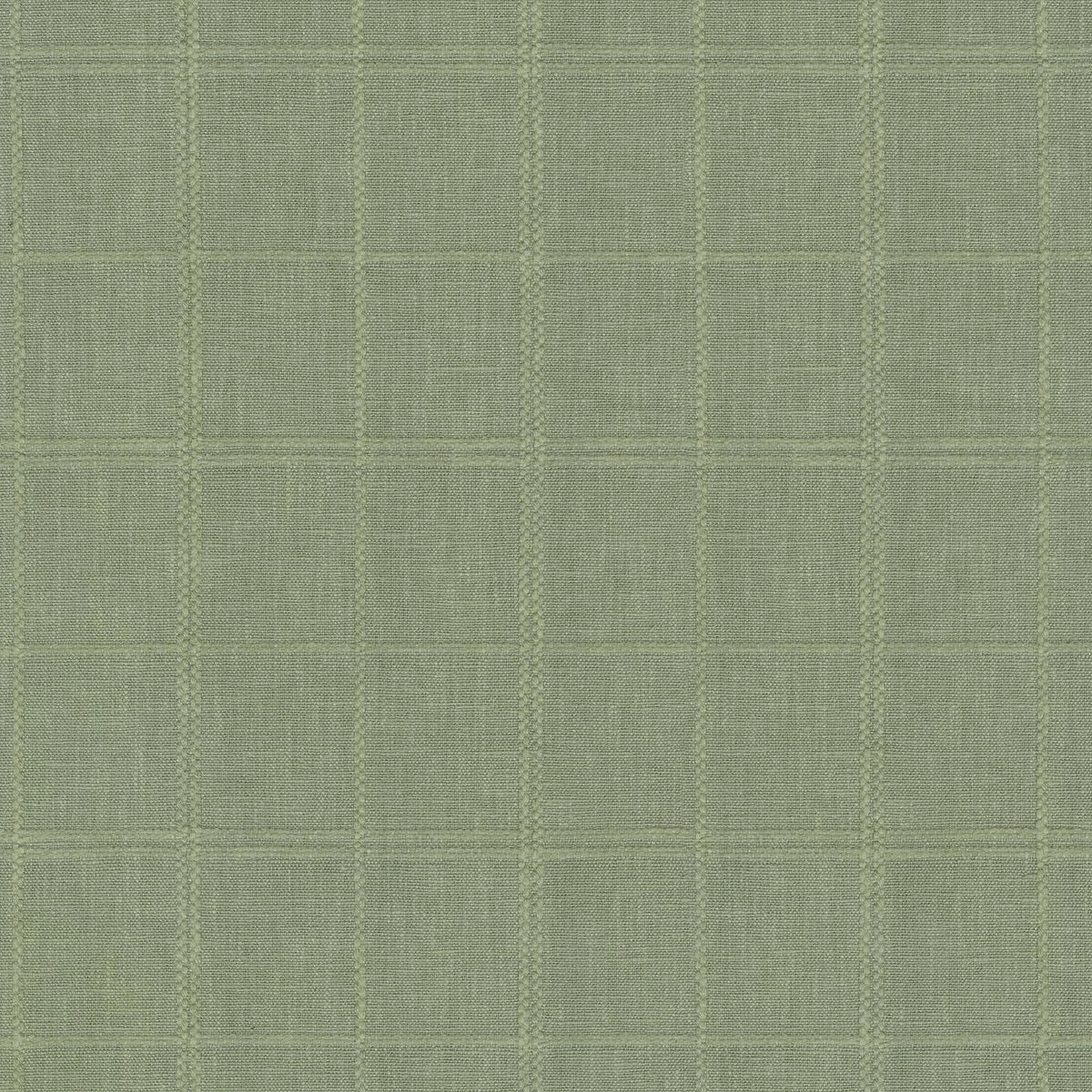 P/K Lifestyles Moray - Wintergreen 410657 Fabric Swatch