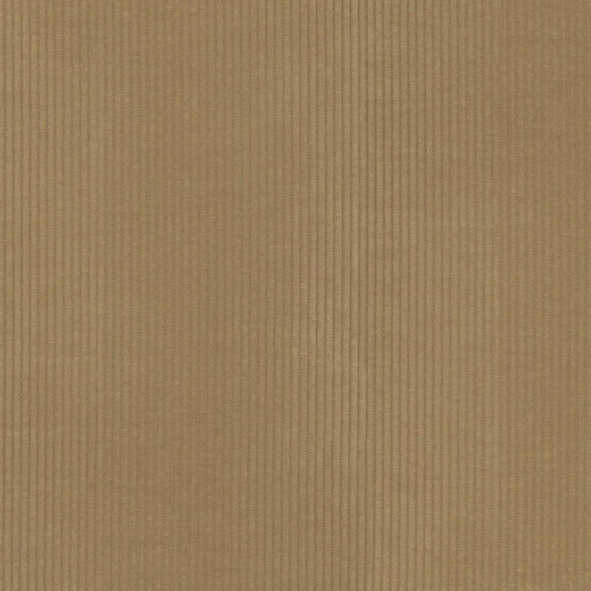 P/K Lifestyles Wales - Camel 412047 Fabric Swatch