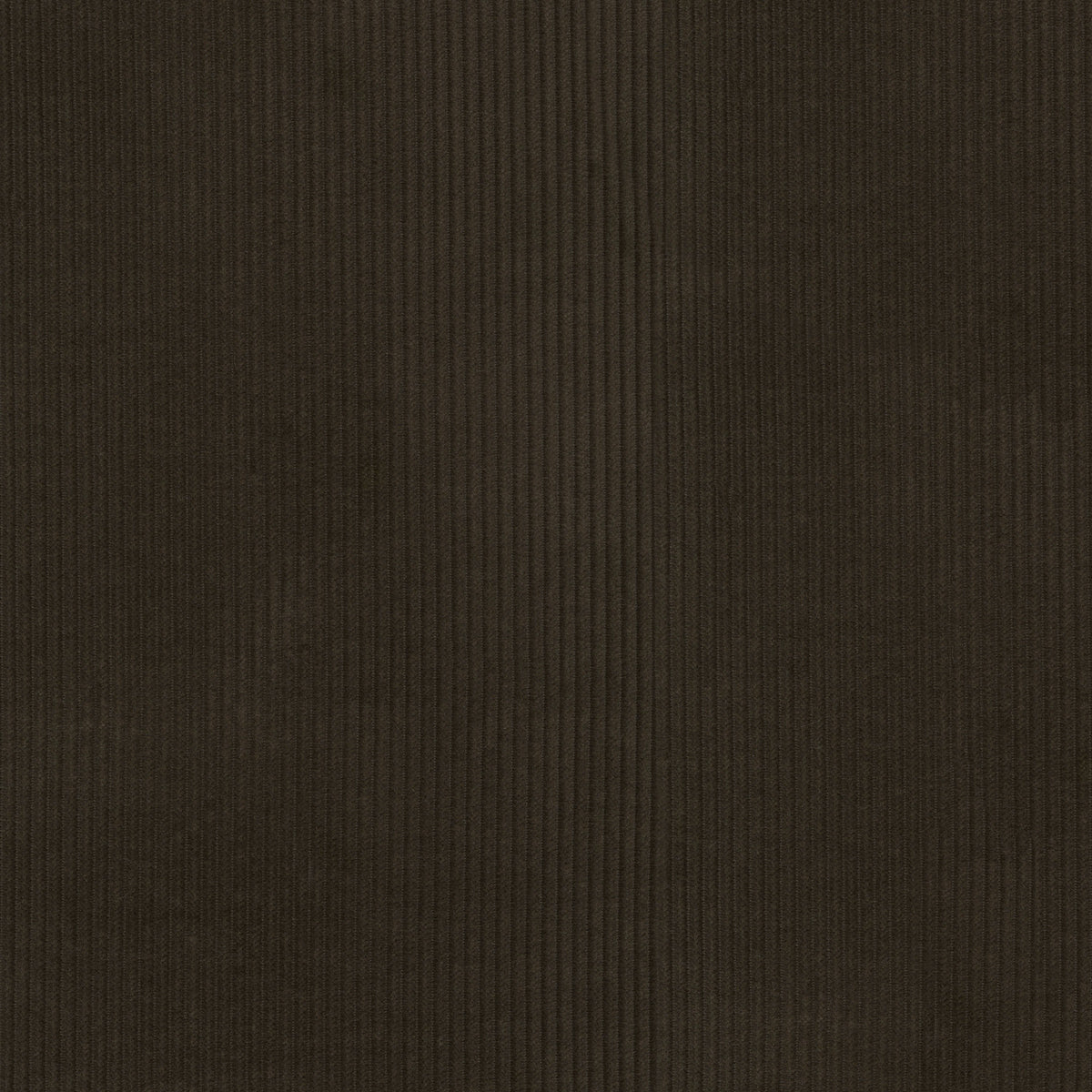 P/K Lifestyles Wales - Chocolate 412038 Upholstery Fabric