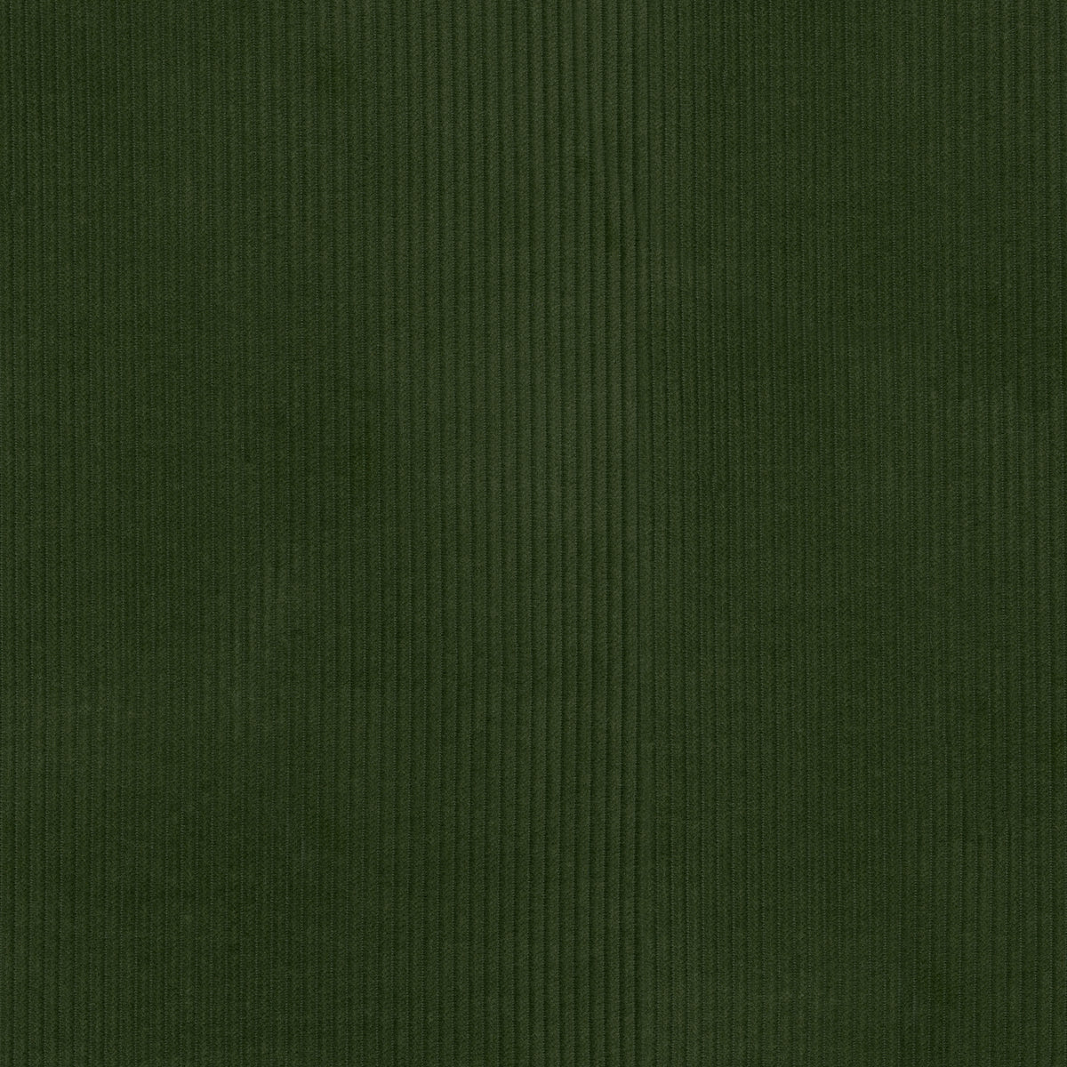 P/K Lifestyles Wales - Evergreen 412020 Upholstery Fabric