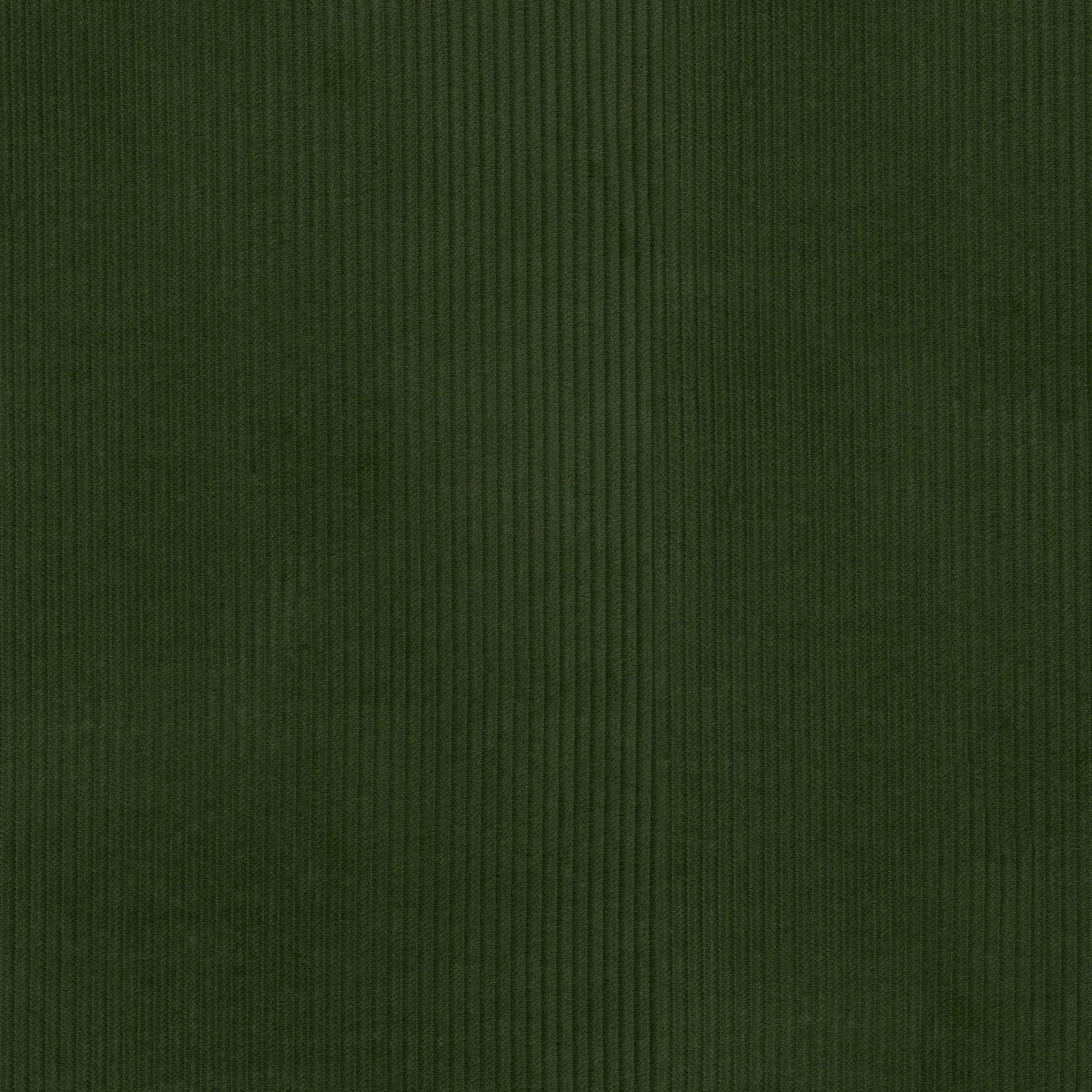 P/K Lifestyles Wales - Evergreen 412020 Fabric Swatch
