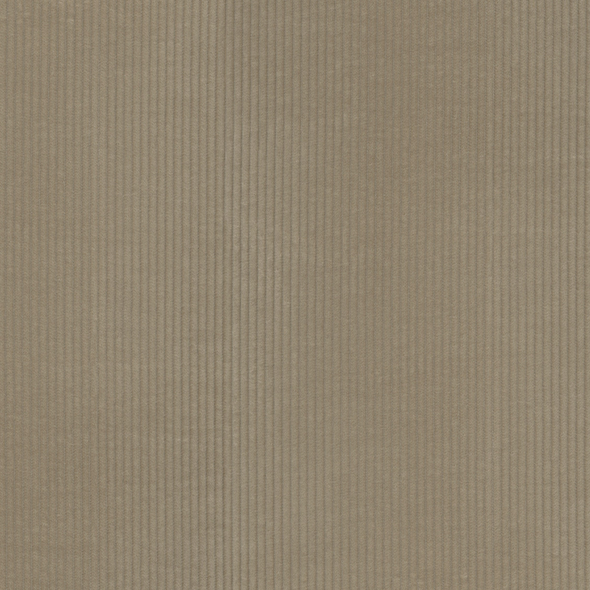 P/K Lifestyles Wales - Fawn 412046 Upholstery Fabric