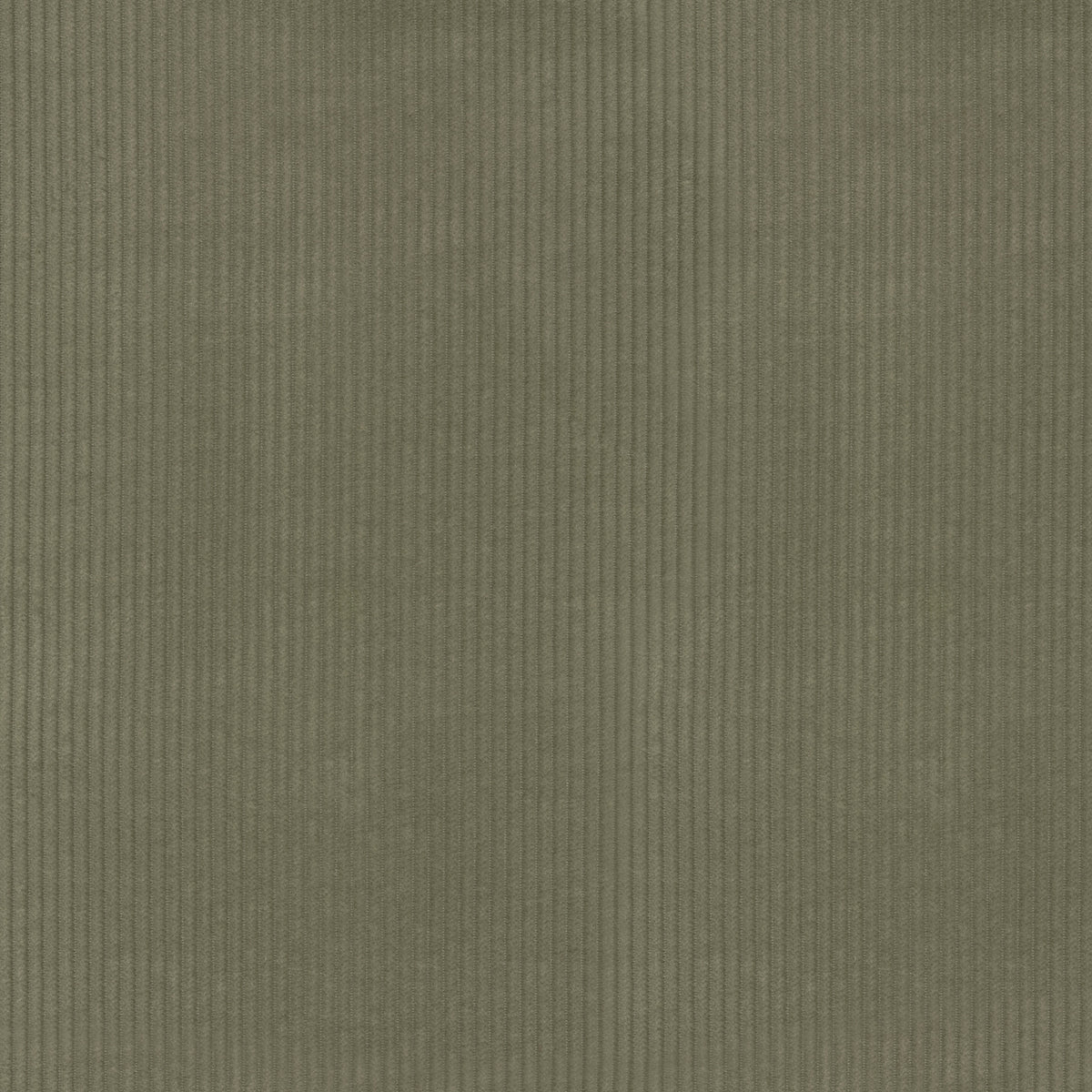 P/K Lifestyles Wales - Herbal 412028 Upholstery Fabric