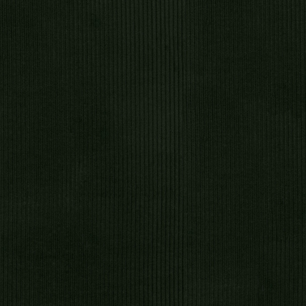 P/K Lifestyles Wales - Loden 412022 Fabric Swatch