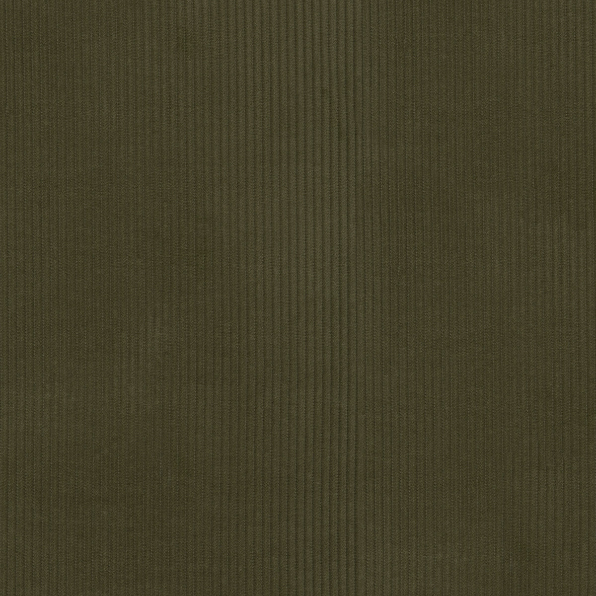 P/K Lifestyles Wales - Moss 412029 Upholstery Fabric