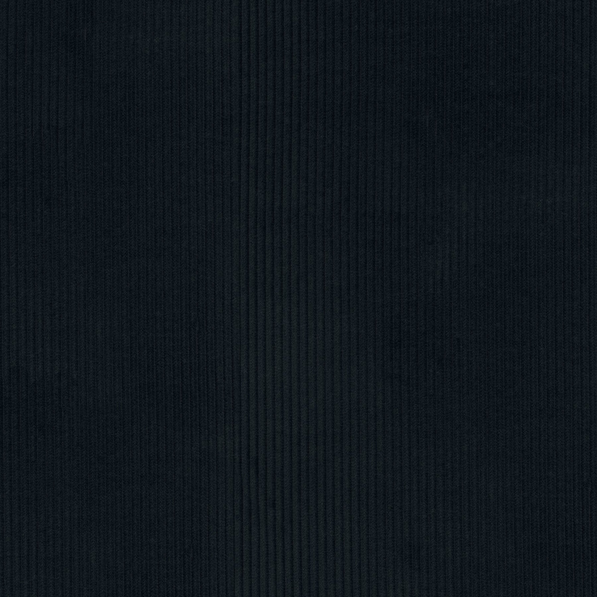 P/K Lifestyles Wales - Navy 412023 Fabric Swatch