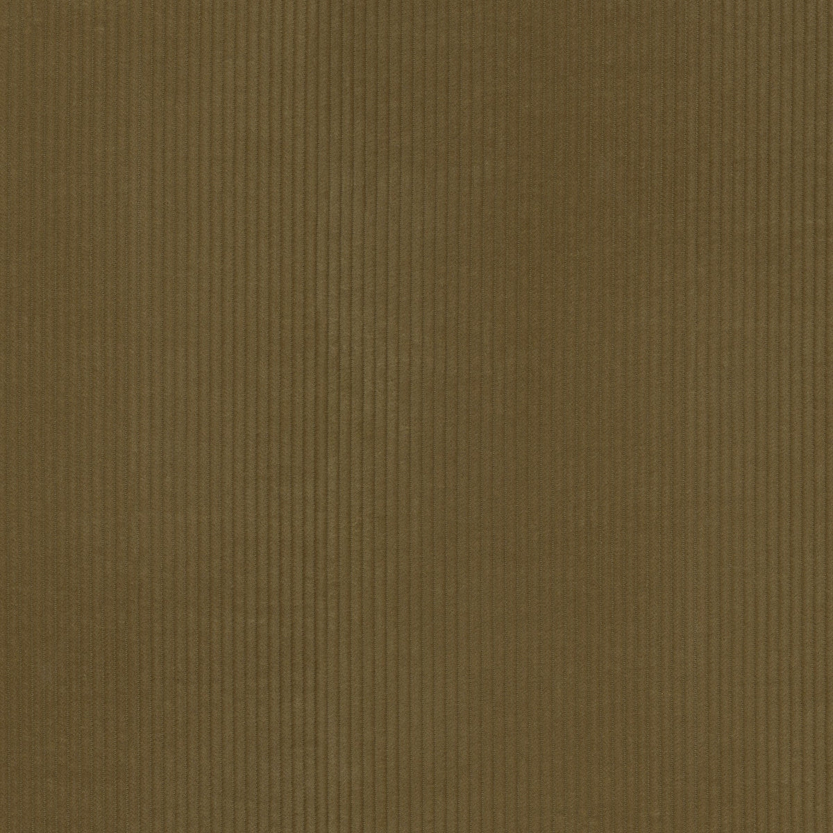 P/K Lifestyles Wales - Tobacco 412030 Fabric Swatch